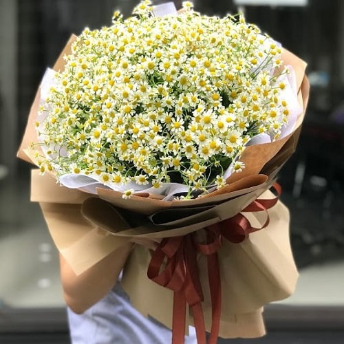 Chọn hoa tặng 8/3 như thế nào | Kha Gồ