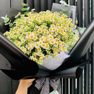 Chọn hoa tặng 8/3 như thế nào | Kha Gồ